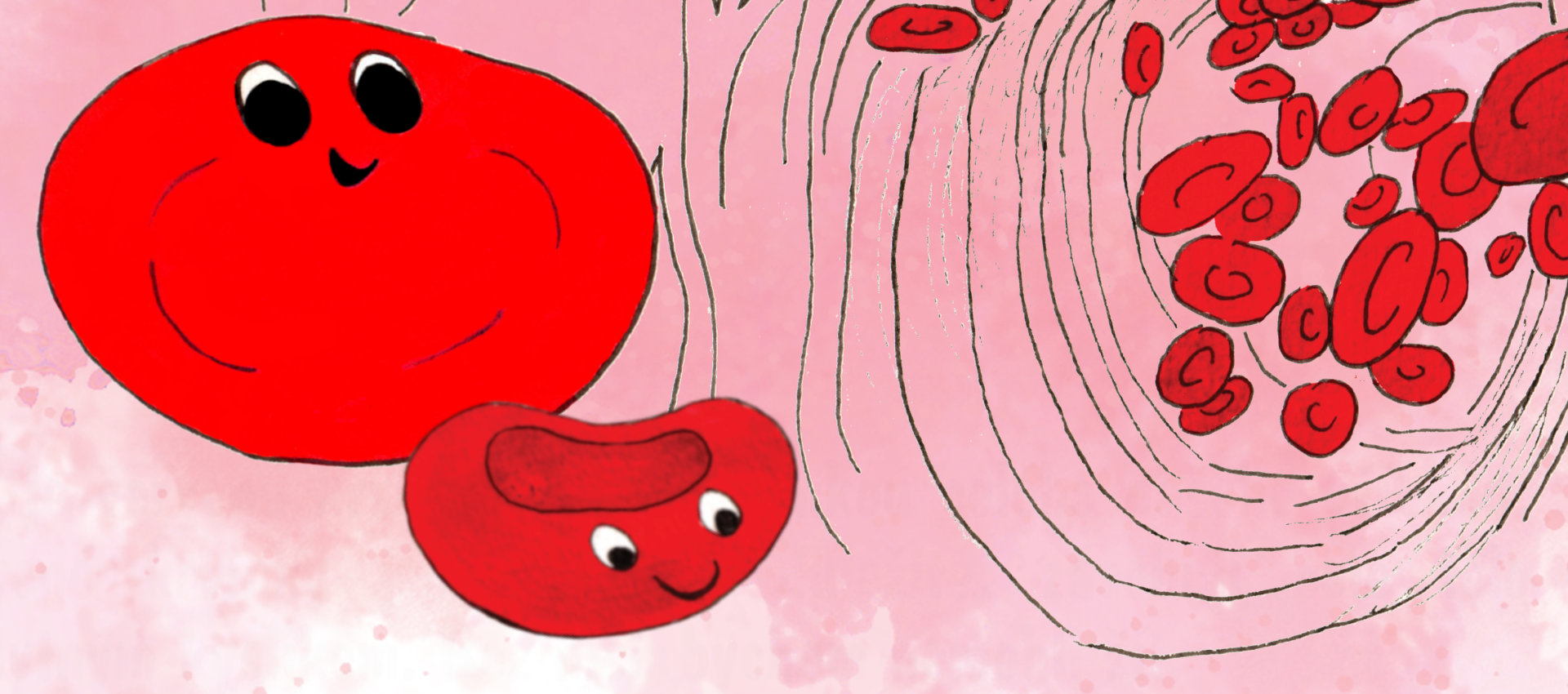 Dobrodružství červené krvinky